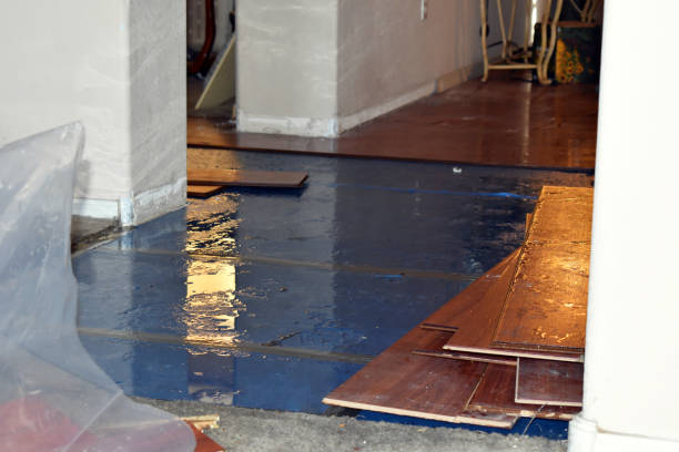 Professional Water Damage Restoration technician working in Kalkaska, MI